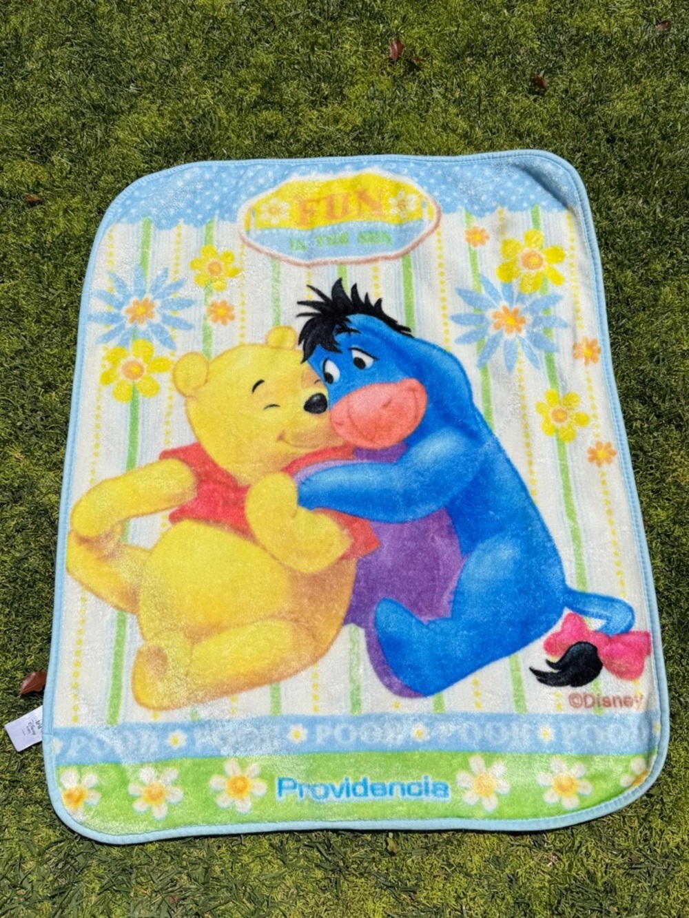 Disney Baby Winnie The Pooh Eeyore Fun in the Sun Minky Plush Blanket 31x39 GUC